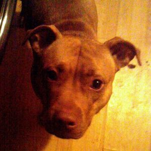 Meet your Posher, Teena